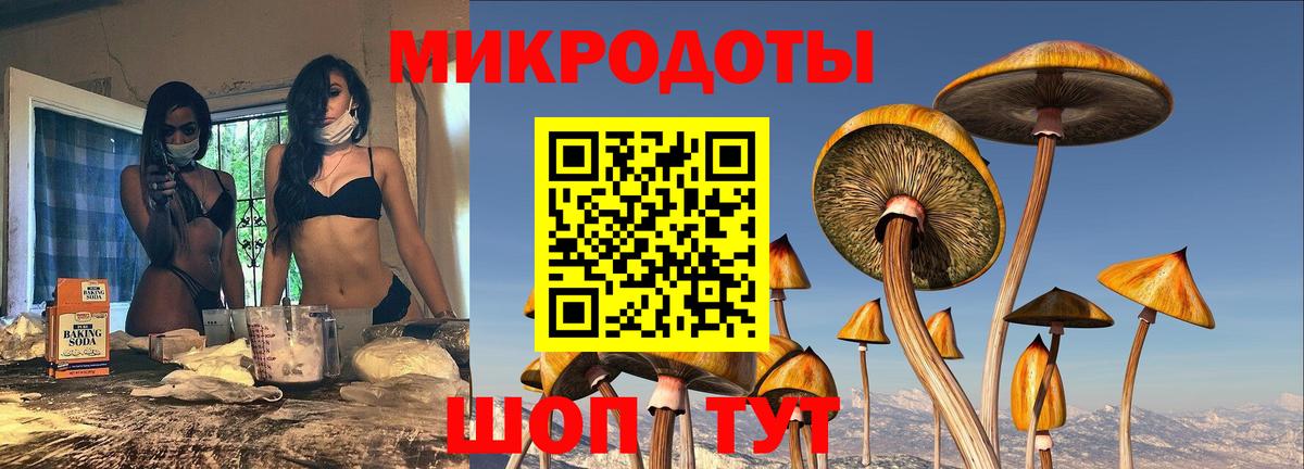Псилоцибиновые грибы Magic Shrooms  Вход с VPN  как найти закладки  Михайловск 